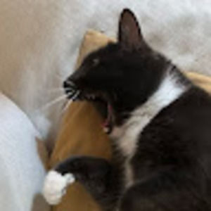 Meet your Posher, Jerik